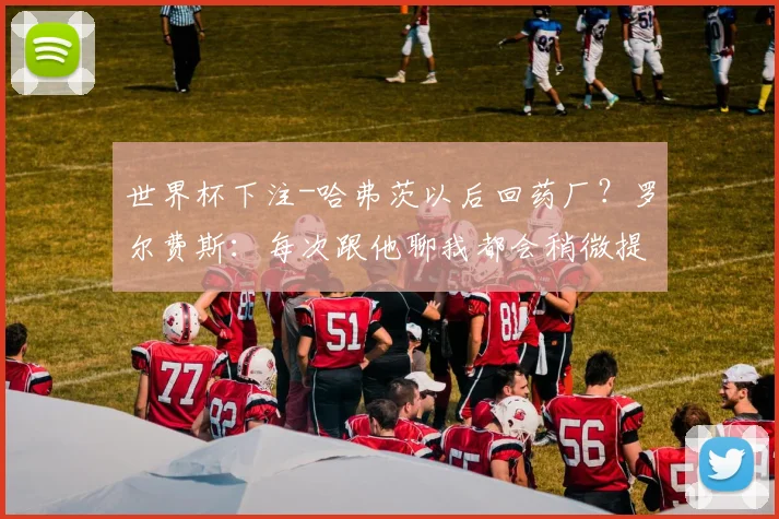 世界杯下注-哈弗茨以后回药厂？罗尔费斯：每次跟他聊我都会稍微提及这事